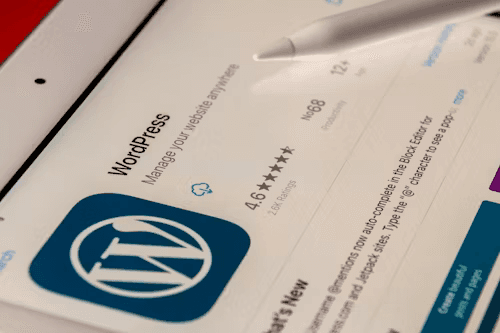 Wordpress project thumbnail